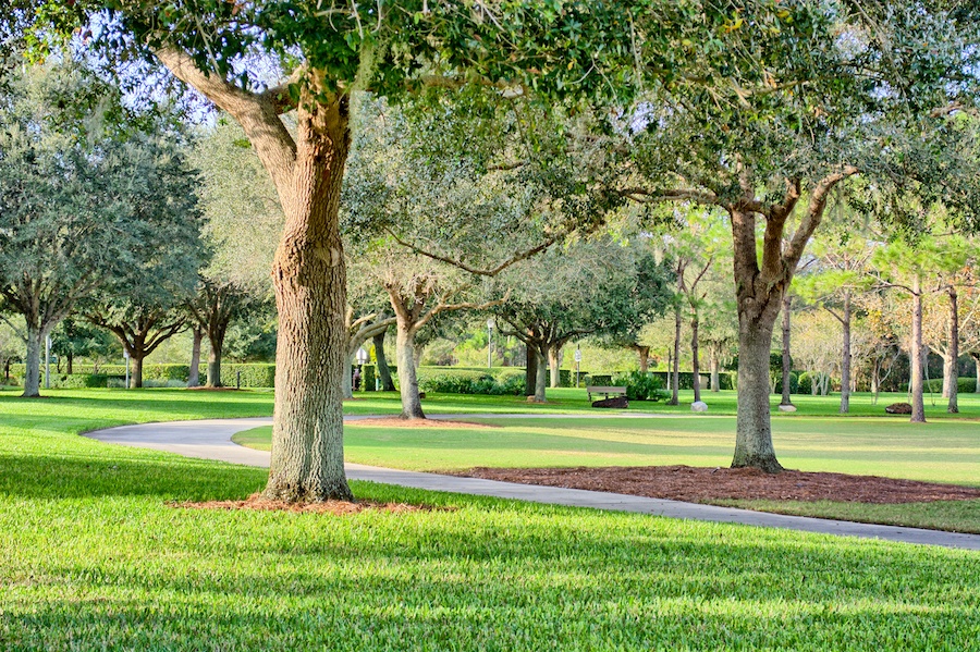 Lake Nona Real Estate Is now a good time to sell or look at homes for